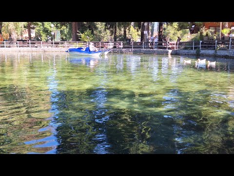 Видео: Клептуза Велинград 