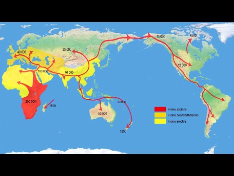 Видео: Происхождение человека (рассказывает Станислав Дробышевский)