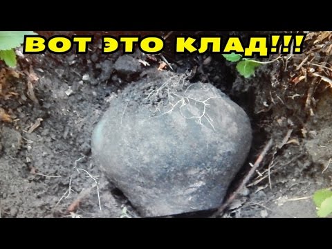 Видео: ВОТ ЭТО КЛАД, БАТЯ В ШОКЕ! В Поисках Клада от Влада!