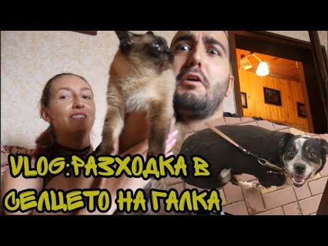 Видео: Разходка в селцето на GALKAPOWER, Най-спокойният влог на света