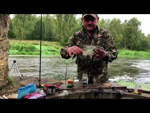 Видео: РЫБАЛКА НА СОМА | ПЕРВЫЙ СОМИК | РЕКА СЕСТРА | 🐟 #fishing #рыбалка #catfish #сом
