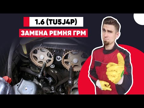 Видео: ЗАМЕНА РЕМНЯ ГРМ И ПОМПЫ tu5jp4. МЕТКИ РЕМНЯ ГРМ СИТРОЕН 1.6 (TU5) - CITROEN 1.6 (TU5)16v 80Kw