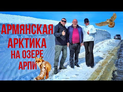 Видео: И это Армения??? Попали в Арктику недалеко от Гюмри! Озеро Арпи