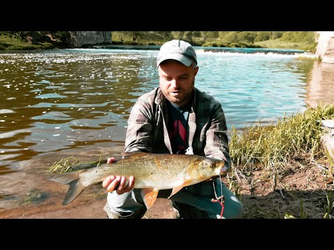 Видео: НЕ ОЖИДАЛ ТАКОЙ РЫБАЛКИ В ПОДМОСКОВЬЕ! Спиннинг на малой реке ВЕСНОЙ. Ловля на блесну.