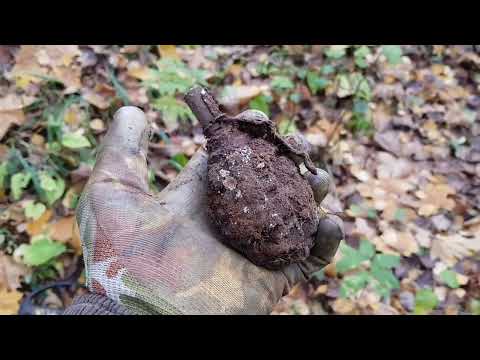 Видео: Мясной Бор