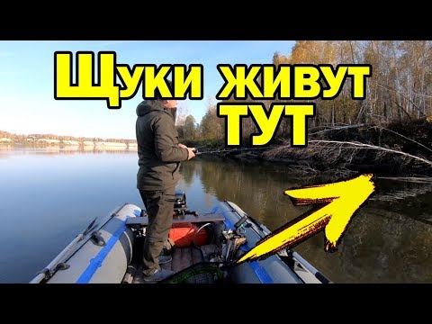 Видео: Где искать щуку осенью? Места стоянок щуки. Рыбалка на спиннинг / AikoLand TV