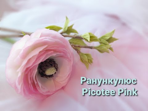 Видео: Ранункулюс Picotee Pink из холодного фарфора. Ranunculus Picotee Pink.