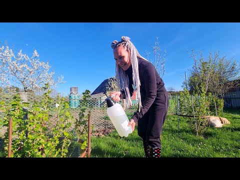 Видео: Приехали из города в деревню а там вредители!