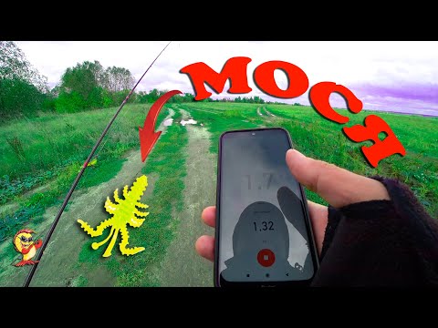 Видео: Микроджиг на маленькой речке. Гуляю с Мосей.