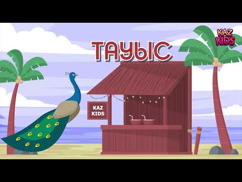 Видео: Жабайы құстар