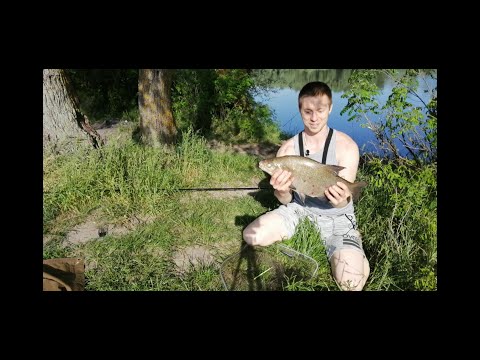 Видео: Рыбалка на Десне в июне. Покормил лещей и поймал бонус).