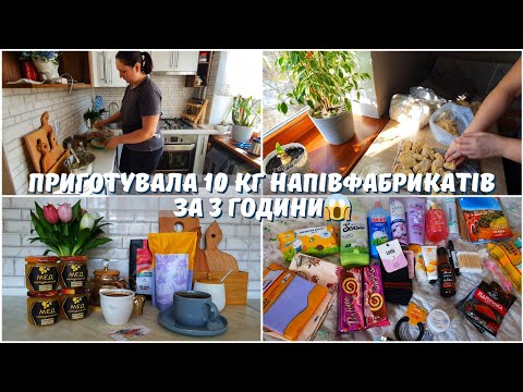 Видео: 10 кг НАПІВФАБРИКАТІВ за 3 години😱 ПОКУПКИ В АВРОРІ НА 1 тис грн✅️