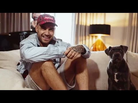 Видео: Знаменитые моменты Лиама Пейна, которые мы не можем забыть (ЧАСТЬ 2)