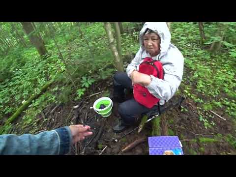 Видео: За грибами в лес, Пермь.  5 июля 2025