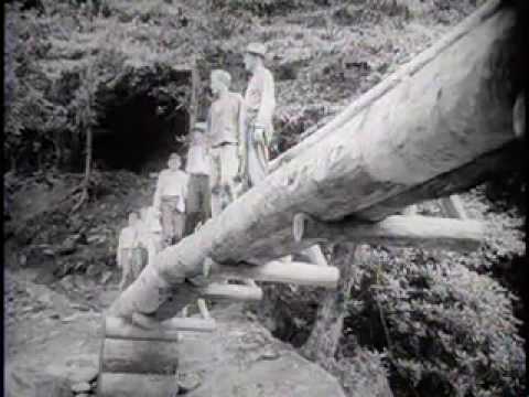 Видео: Грейт-Смоки-Маунтинс (1936)