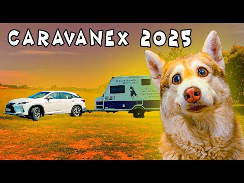 Видео: ЕДЕМ на CARAVANEX КАРАВАНЕКС 2025 с ХАСКИ БУБЛИКОМ!!