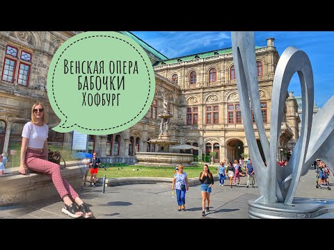 Видео: Венская Опера | Хофбург | Дом бабочек (Schmetterling Haus)| Hofburg Opera Vienna | #Авиамания