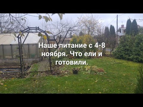 Видео: Наше питание с 4-8 ноября 2025. Что ели и готовили.