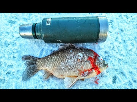Видео: Рыбалка на хапуги в -30 ЕКЛМН. Рыбалка была удачливая и добычливая. Карась зимой. Рыбалка зимой 2023