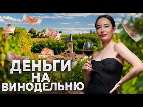 Видео: Сколько денег нужно на винодельню в 2025? Считаю затраты на маленькое производство #минвин #вино