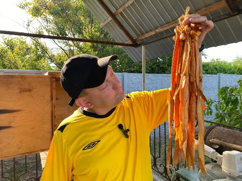 Видео: Холодное копчение! Вкусные брюшки лосося, готовлю только так! С Димасом!