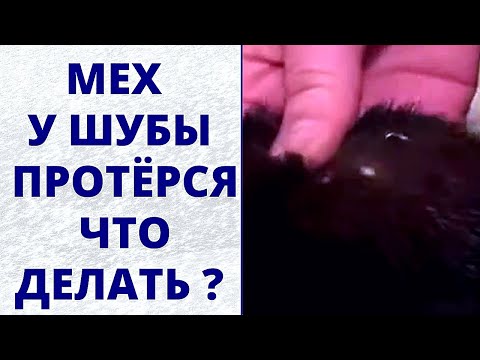 Видео: Ремонт потертого меха Ремонт шубы с краской Саламандра Полезные лайфхаки для рукодельниц Сделай сам