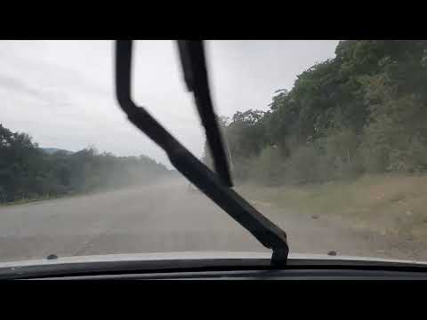 Видео: Пластун  ➡️ Дальнегорск 22.08.2022г.