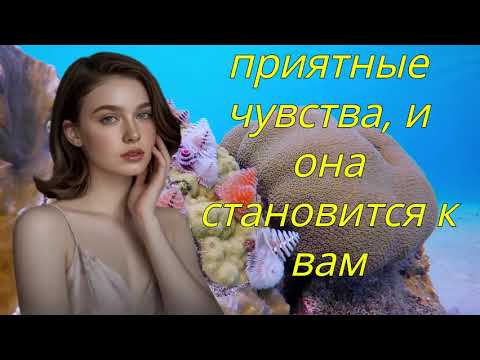 Видео: 7 Вещей, Которые Женщины Любят – Но Делает Только 1% Мужчин