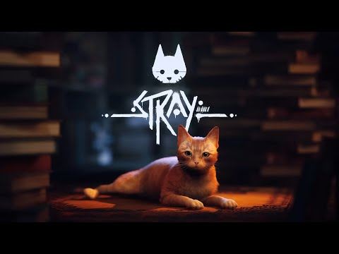 Видео: Джой на пути домой | Stray