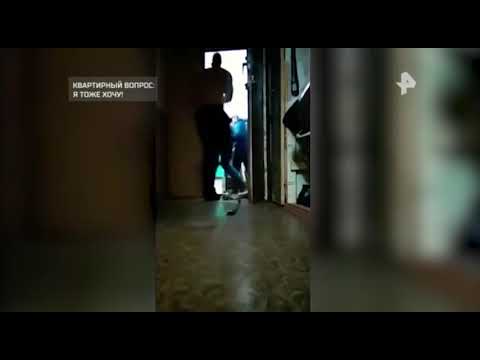 Видео: Региональная реклама (РЕН ТВ-Петербург, 26.08.2019)