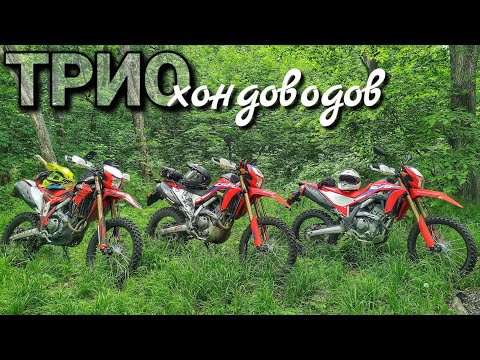 Видео: Лесные дороги на лёгких мотоциклах Honda CRF 300L