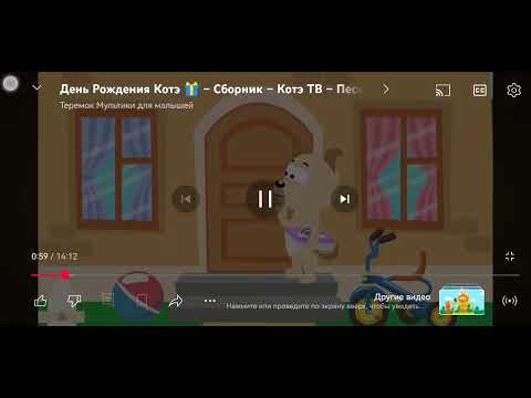 Видео: 16 января 2025 г.