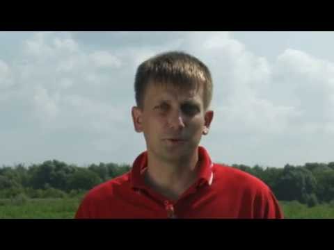 Видео: Технология возделывания картофеля DuPont. 4 серия