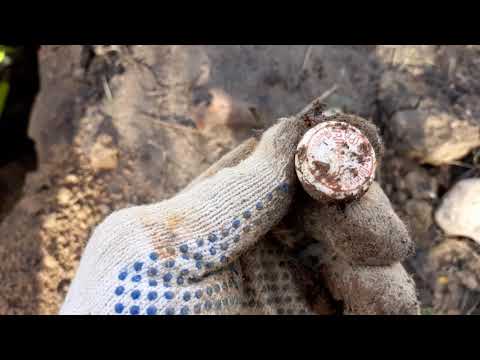 Видео: Новые находки в Мамоново ( Калининградская область )