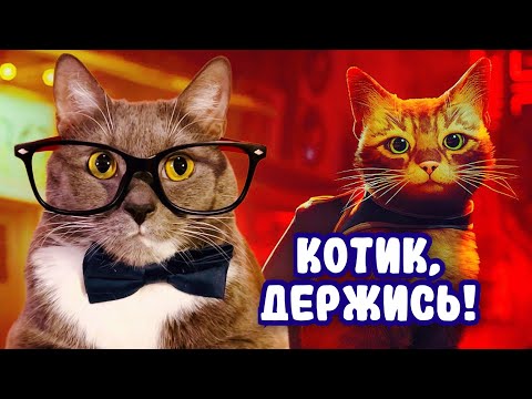 Видео: Я КОТИК В МИРЕ РОБОТОВ! ГЕННАДИЙ играет в STRAY! #1