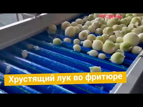 Видео: Жареный хрустящий лук | Оборудование для производства лука в кляре жареного во фритюре.