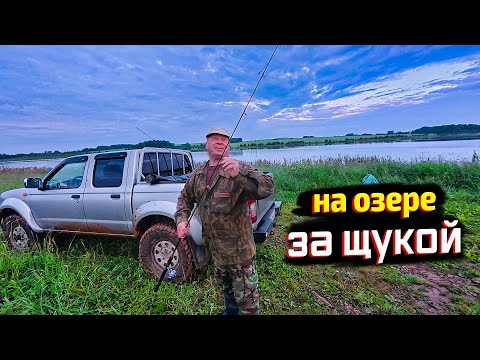 Видео: НОЧНАЯ ЭКСПЕДИЦИЯ: ЧЕРЕЗ ГРЯЗЬ ЗА ЩУКОЙ! МИНУС БЛЁСНЫ, ПЛЮС ЭМОЦИИ.