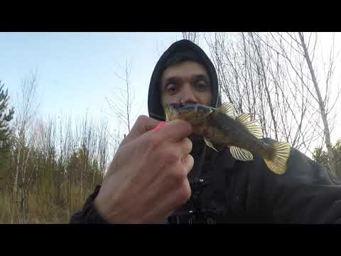 Видео: ротан на дроп шот осенью