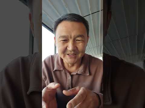 Видео: Асыл тукум мал алып келуу,масштабтуу семинар жана фонд боюнча билдируу.#сут#молоко#ферма#уй#семинар.