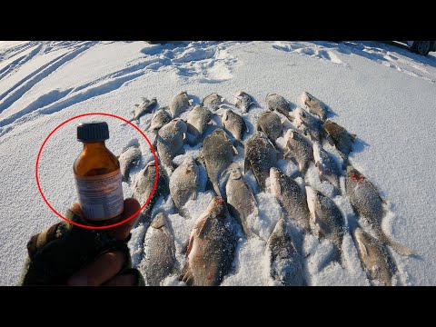 Видео: ЭТА НАСТОЙКА СПАСЛА В ГЛУХОЗИМЬЕ РЫБАЛКУ