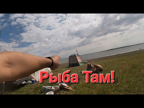 Видео: Отдых На Селете! И Рыбная Рыбалка На Кружки!