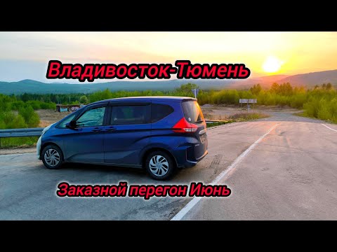 Видео: Перегон Владивосток-Тюмень HONDA FREED. Июнь 2024