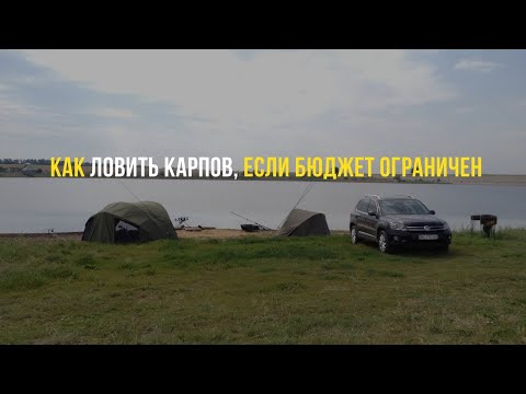 Видео: КАК ЛОВИТЬ КАРПОВ, ЕСЛИ БЮДЖЕТ ОГРАНИЧЕН