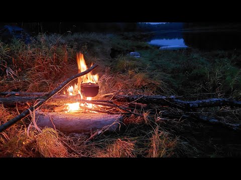 Видео: Осенний спиннинг на р. Паша. Часть 2.