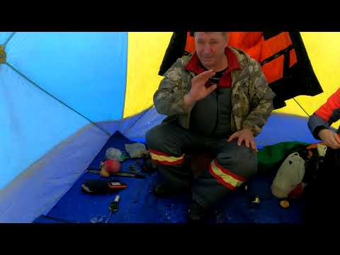 Видео: Красноярское водохранилище залив Шумиха. Отличный клев сороги.  Рыбалка в палатке. Январь 2023г.