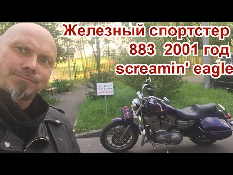 Видео: Железный sportster 883  2001 год screamin' eagle