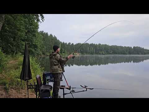 Видео: Фрагмент с рыбалки,улов.