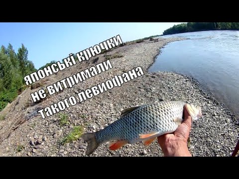 Видео: Ловля Голавля на Спиннинг с Берега летом . Рыбалка .р.Тиса