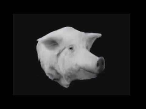 Видео: Борщ - П'яна свиня | Official Video