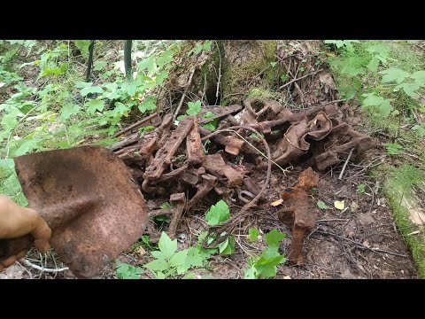 Видео: Удачная разведка!!! Нашёл тракторную стоянку !!!#копметалла  #металлокоп 